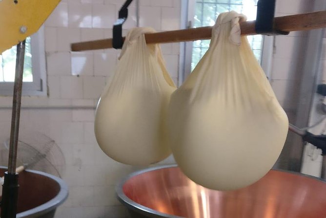 Tour Parmigiano Reggiano dairy and Parma ham - Is $151.16 a fair price?