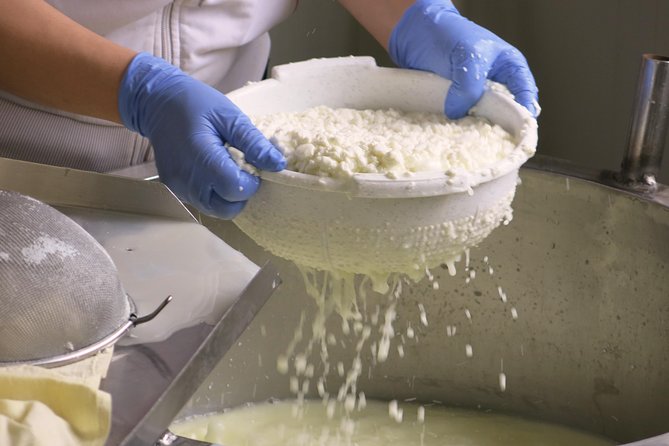 Troodos Mountains Halloumi Making: All Inclusive Workshop & Tour - Making halloumi with a Cypriot family