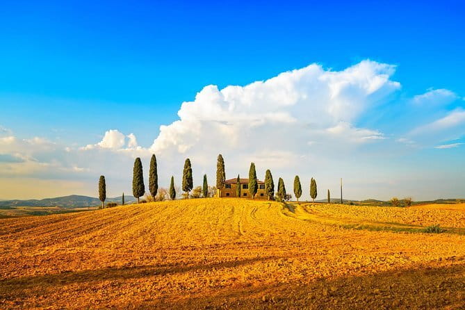Tuscany Private Tour with Wine and Cheese Tasting from Florence - Key points to know before booking