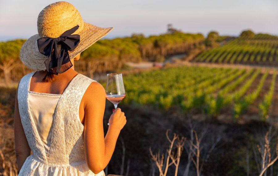 Tuscany: Ripalte Design Winery Wine and Cheese Tasting Tour - Should you book the Ripalte Design Winery tour?