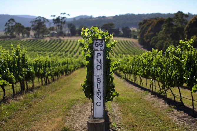 Ultimate Yarra Valley Chandon, Soumah & De Bortoli Cheese & Wine - Key points at a glance