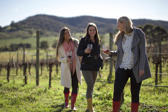 Ultimate Yarra Valley Chandon, Soumah & De Bortoli Cheese & Wine - Boutique wineries and the lunch stop