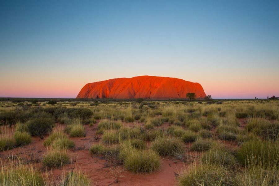 Uluru 1.5-Hour Sunset Tour with Sparkling Wine & Cheeseboard - What to bring and how to make the evening better