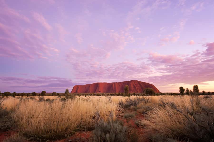 Uluru 1.5-Hour Sunset Tour with Sparkling Wine & Cheeseboard - The guide makes more difference than the menu
