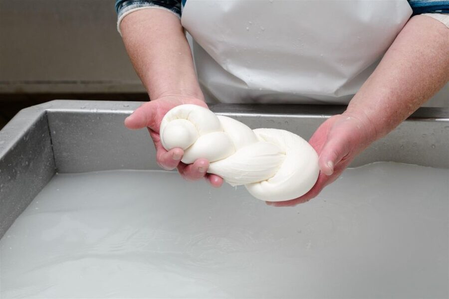 Vico Equense: Tour in the dairy "Mozzarella Experience" - Getting to Piazza San Salvatore