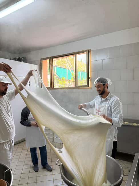 Vico Equense: Tour in the dairy "Mozzarella Experience" - Is $80 a fair price?
