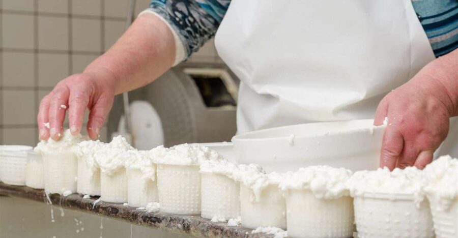 Vico Equense: Tour in the dairy "Mozzarella Experience" - Booking and cancellation details