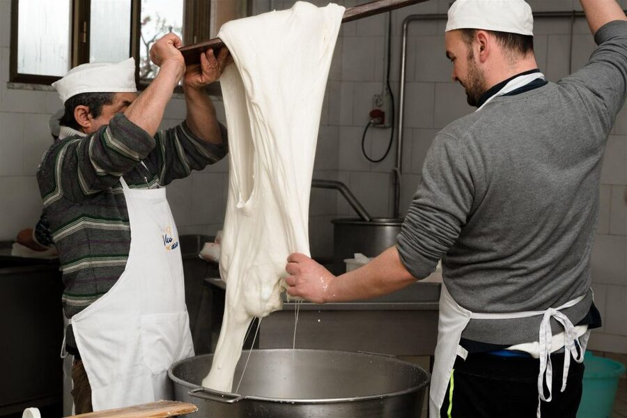 Vico Equense: Tour in the dairy "Mozzarella Experience" - From milk to fior di latte in the spinning room