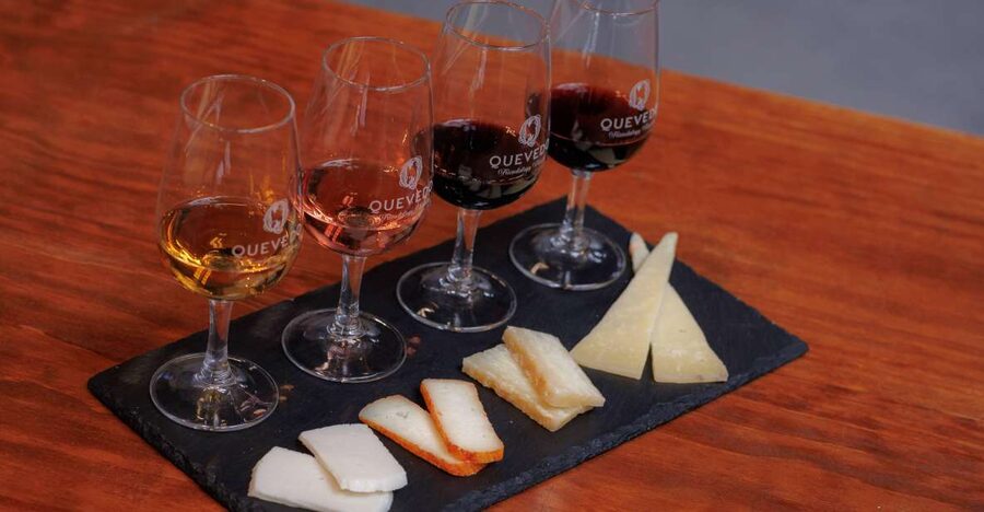 Vila Nova de Gaia: Port Wine Tasting with Cheese Pairing - Three Ports, three different lessons