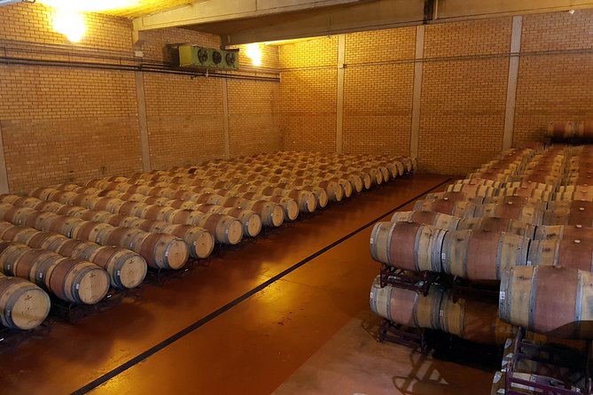 Visit and wine tasting with sausage and BODEGA PIRINEOS cheese - Why this winery visit works well in Aragón