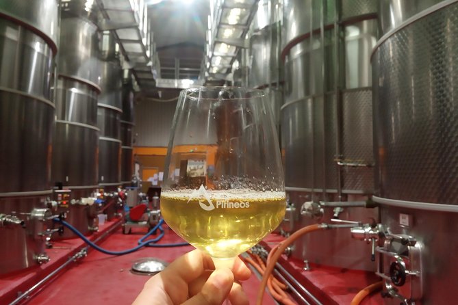 Visit and wine tasting with sausage and BODEGA PIRINEOS cheese - The four-wine tasting with local food