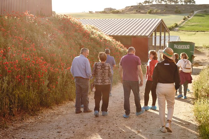 Visit La Antigua Cheese Factory (Cheese Tourism) - From Sheep Milk to Finished Cheese