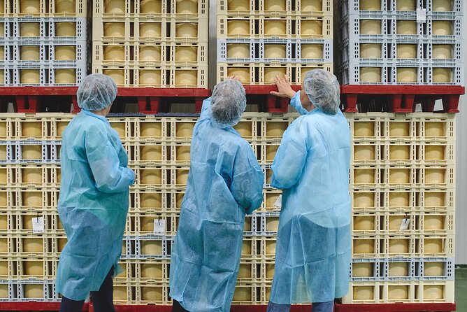 Visit La Antigua Cheese Factory (Cheese Tourism) - Price, Timing, and Overall Value