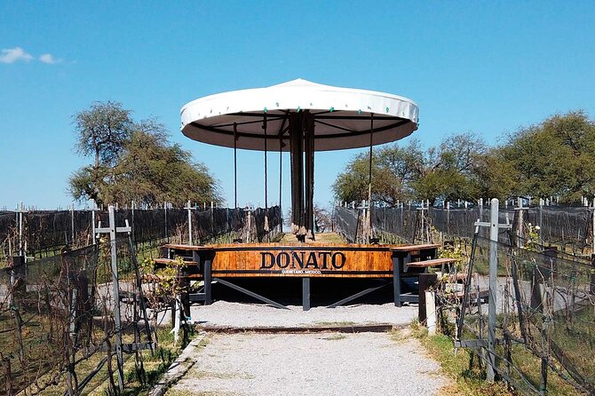 Visit to 3 Vineyards in the Region, departing from Querétaro - Starting at the Museo Regional de Querétaro