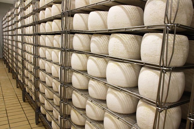Visit to the dairy - The tasting room is the payoff