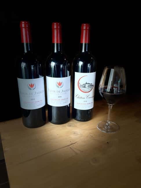 Visit to the property and wine/cheese pairing workshop - A family estate between Saint-Émilion and Pomerol