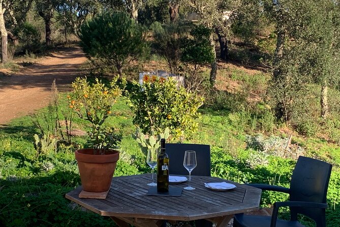 Walk in the Hills with Goat Herder-Local Honey, Wine and Cheese Tasting - Meeting Virginia and Josh