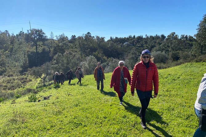 Walk in the Hills with Goat Herder-Local Honey, Wine and Cheese Tasting - Why the five-generation story matters
