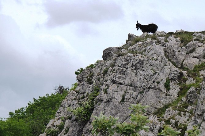 Wells, Cheddar Cheese and Cheddar Gorge - Private Day Trip from Bath - Lunch at an English pub