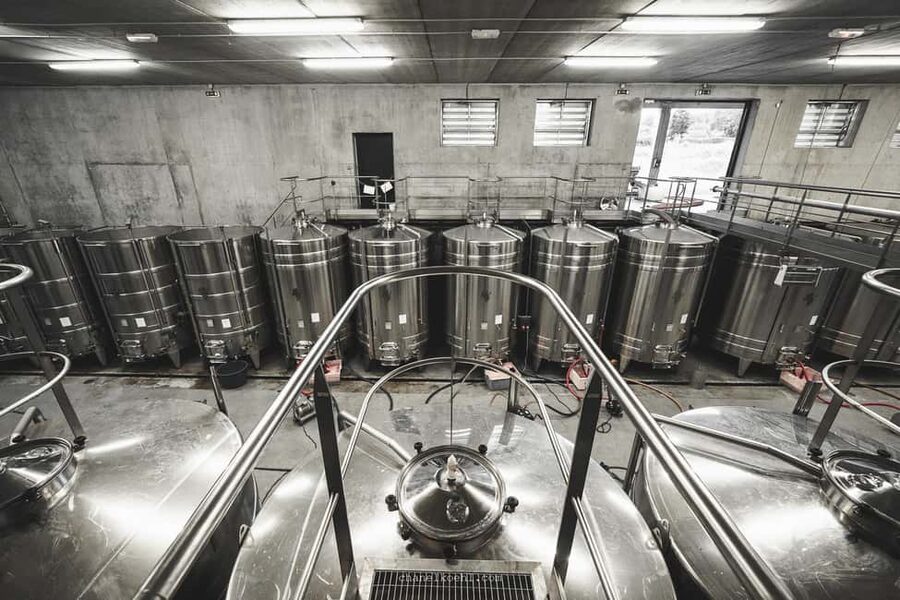 Wine and Cheese experience - Raw goat milk is the main dietary detail