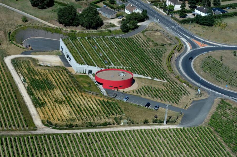Wine and Cheese experience - The vineyard trail around the cellar