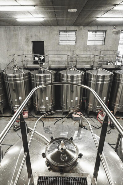 Wine and Cheese experience