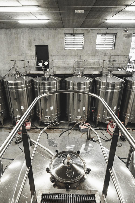 Wine and Cheese experience - How the self-guided tasting works