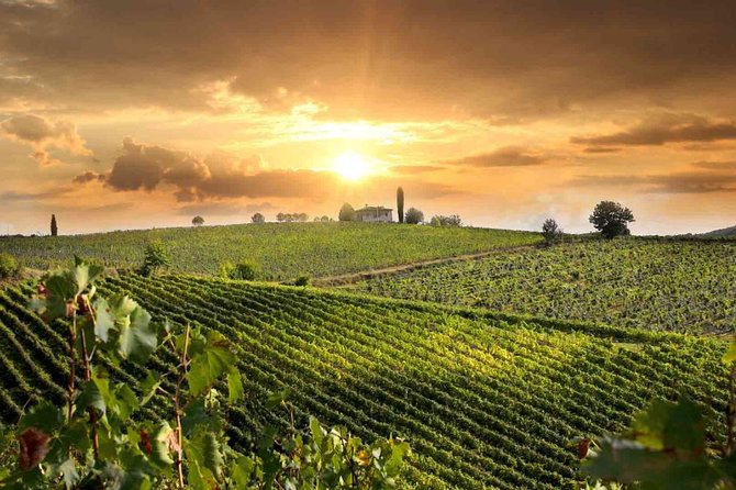 Wine and Cheese Tastings Southern Tuscany ShoreExcursion from Civitavecchia Port - Key points at a glance