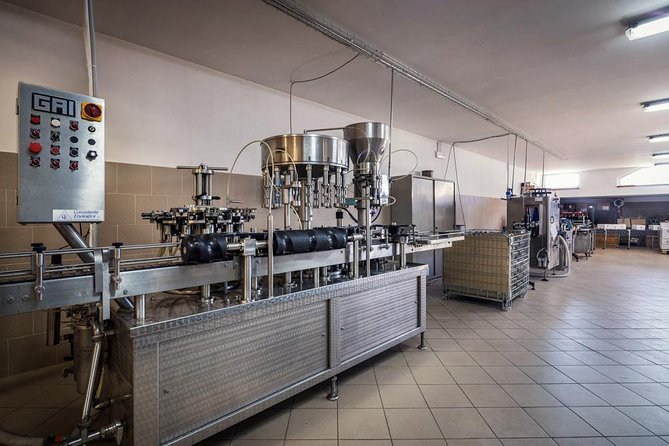 Wine and Cheeses - From vineyard to tanks and oak barrels