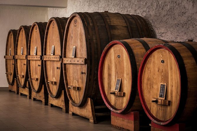 Wine and Cheeses - Who will enjoy this tasting most