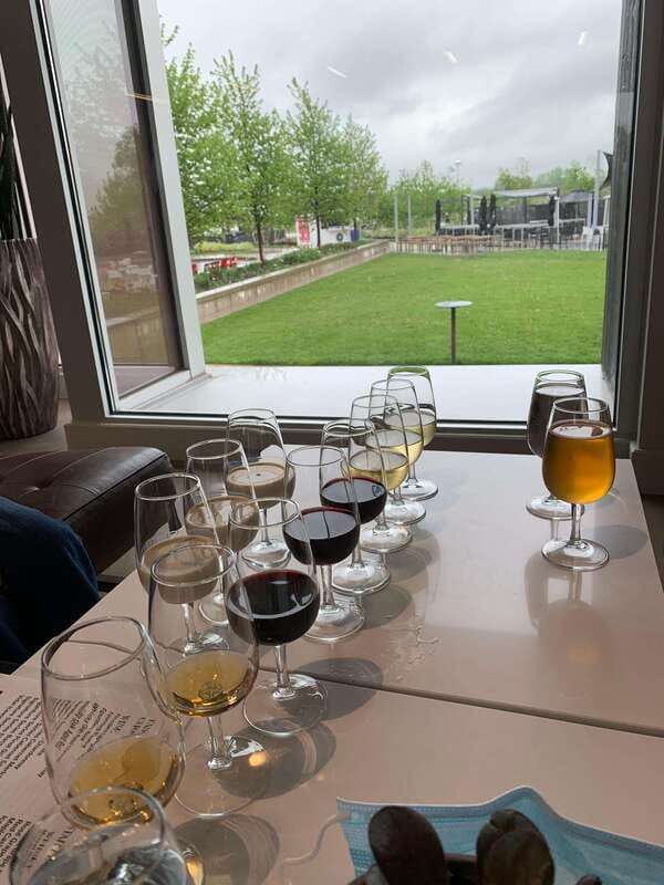 Wine & Cheese Afternoon Wine Tours in NOTL - Timing, comfort, and group expectations