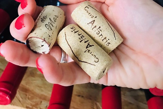 Wine, Cheese & Charcuterie Tasting, including complimentary tour - Arriving at 6pm in Ponta Delgada