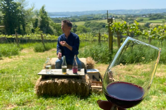 Wine & Cheese in the Somerset Valleys - with Michelin-star lunch! - The Pony turns lunch into a main event