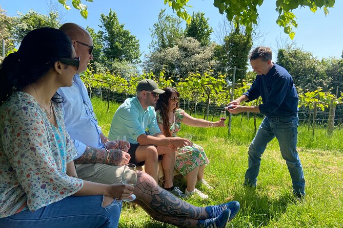 Wine & Cheese in the Somerset Valleys - with Michelin-star lunch! - Limeburn Hill: wine above Chew Valley Lake