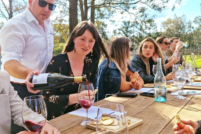 Wine & Cheese Tasting Experience in Hunter Valley - What happens during the one-hour tasting