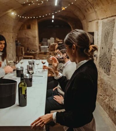 Wine Masterclass & Cheese Tasting Workshop in Bordeaux