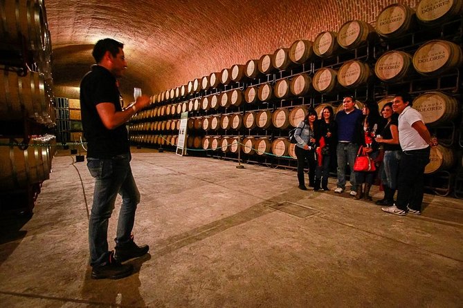 Wine Route tour starting from Querétaro - Freixenet Mexico and the 15-meter cellar