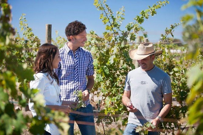 Wine Route tour starting from Querétaro - What the transport and group size mean