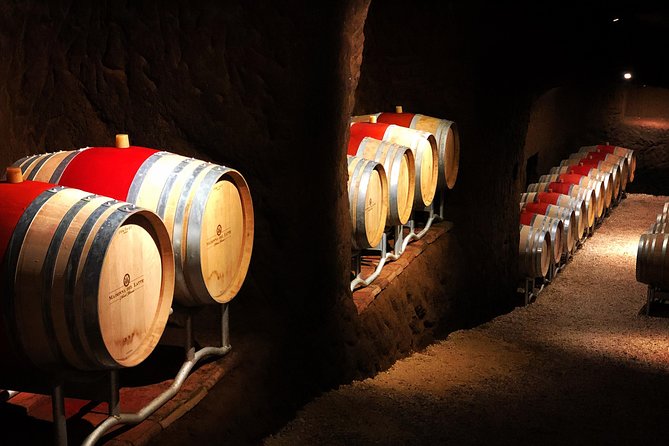 Winery tour and wine, cheese & charcuterie tasting - Starting among the vines