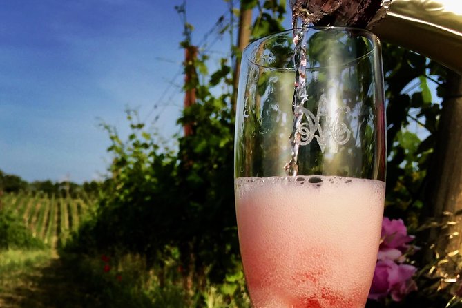 Winery tour and wine, cheese & charcuterie tasting - Getting to Località Sugano