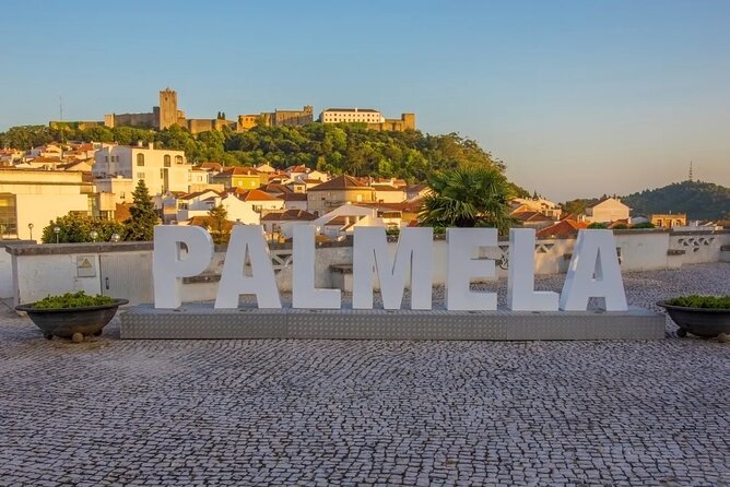 WineTour Palmela - Cheese, Wine & Bread - Three wines at Venâncio da Costa Lima