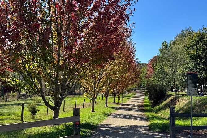 Yarra Valley Foodie Tour, Devonshire Tea, Cheese and Chocolate - A five-cheese brunch in Healesville