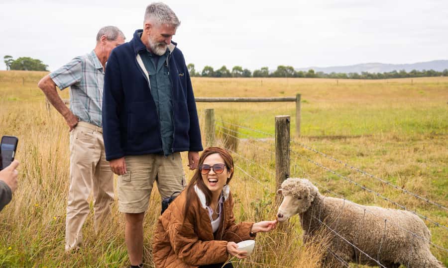 Yarra Valley Full Day Grazing Tour: Gin, Wine, Pizza, Cheese - What the $133 price includes
