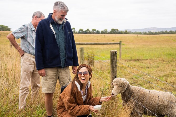 Yarra Valley Grazing Tour Wine, Cheese, Gin, Pizza from Melbourne - Healesville gives you a breather