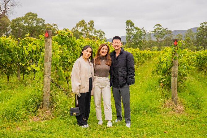 Yarra Valley Grazing Tour Wine, Cheese, Gin, Pizza from Melbourne - What the transport and group size mean