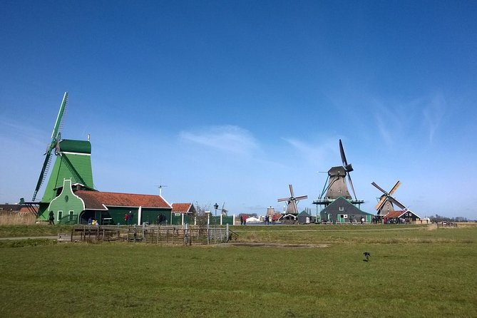 Zaanse Schans Windmills, Clogs and Dutch Cheese Small-Group Tour from Amsterdam - Seeing clogs made at Kooijman