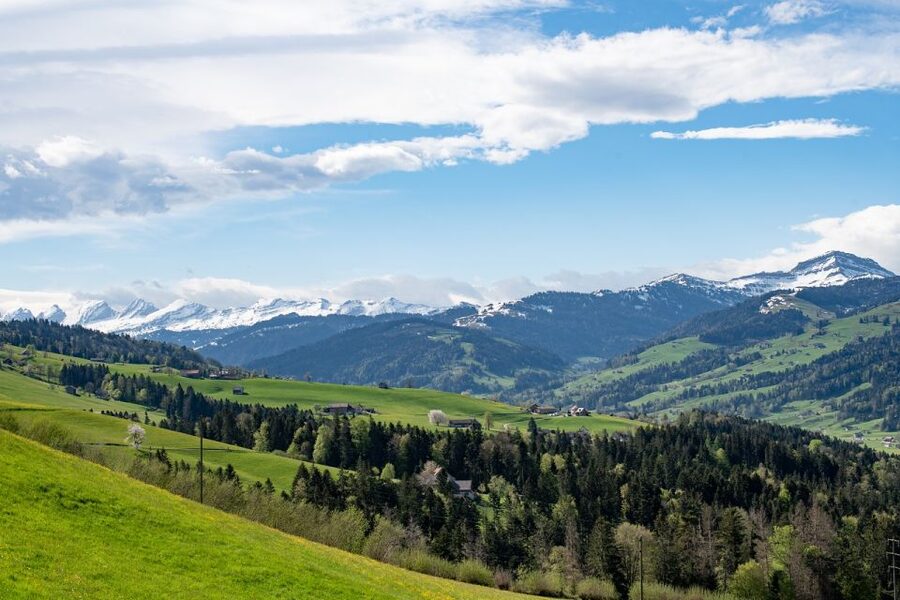 Zurich: Appenzell Day Trip with Farm Visit & Cheese Tasting - Chocolate with an artisan touch