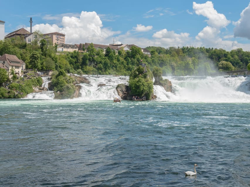 Zurich: Rhine Falls, Chocolate & Cheese Factory Day Trip - Appenzeller Schaukäserei explains the cheese tradition